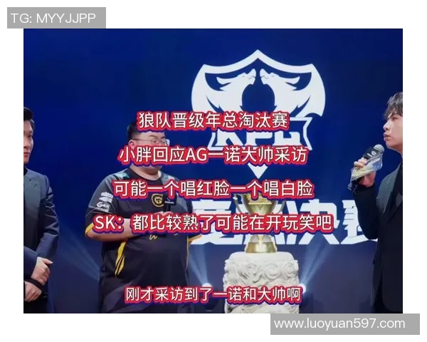 AG大帅总决赛战术体系揭秘：中野联动成关键，狼队如何应对新挑战？